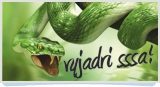 logo vyjadri sa