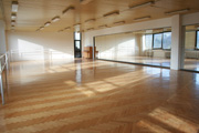 velka_pohybova_sala